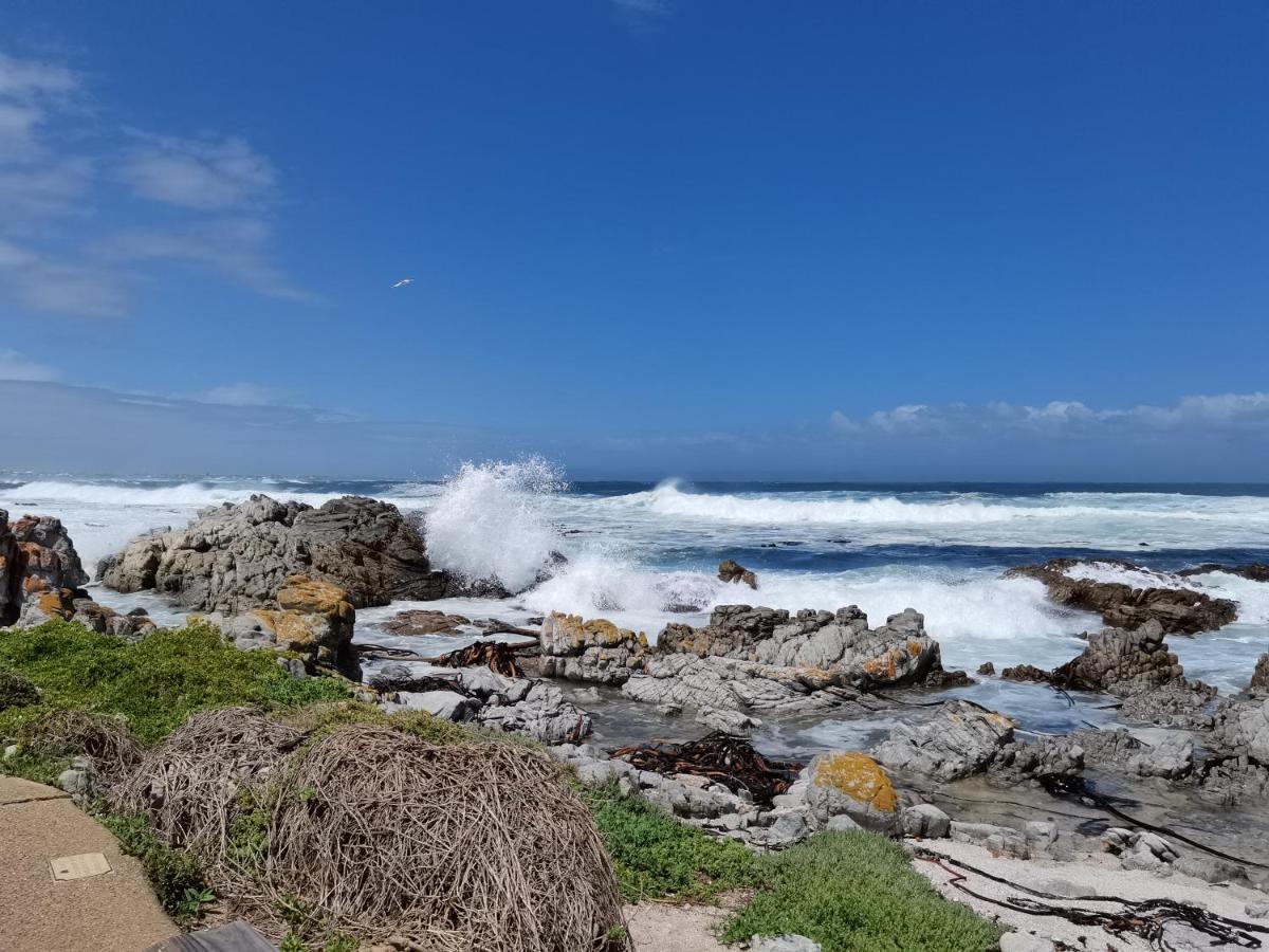 Vermont Lofts Hermanus Bagian luar foto