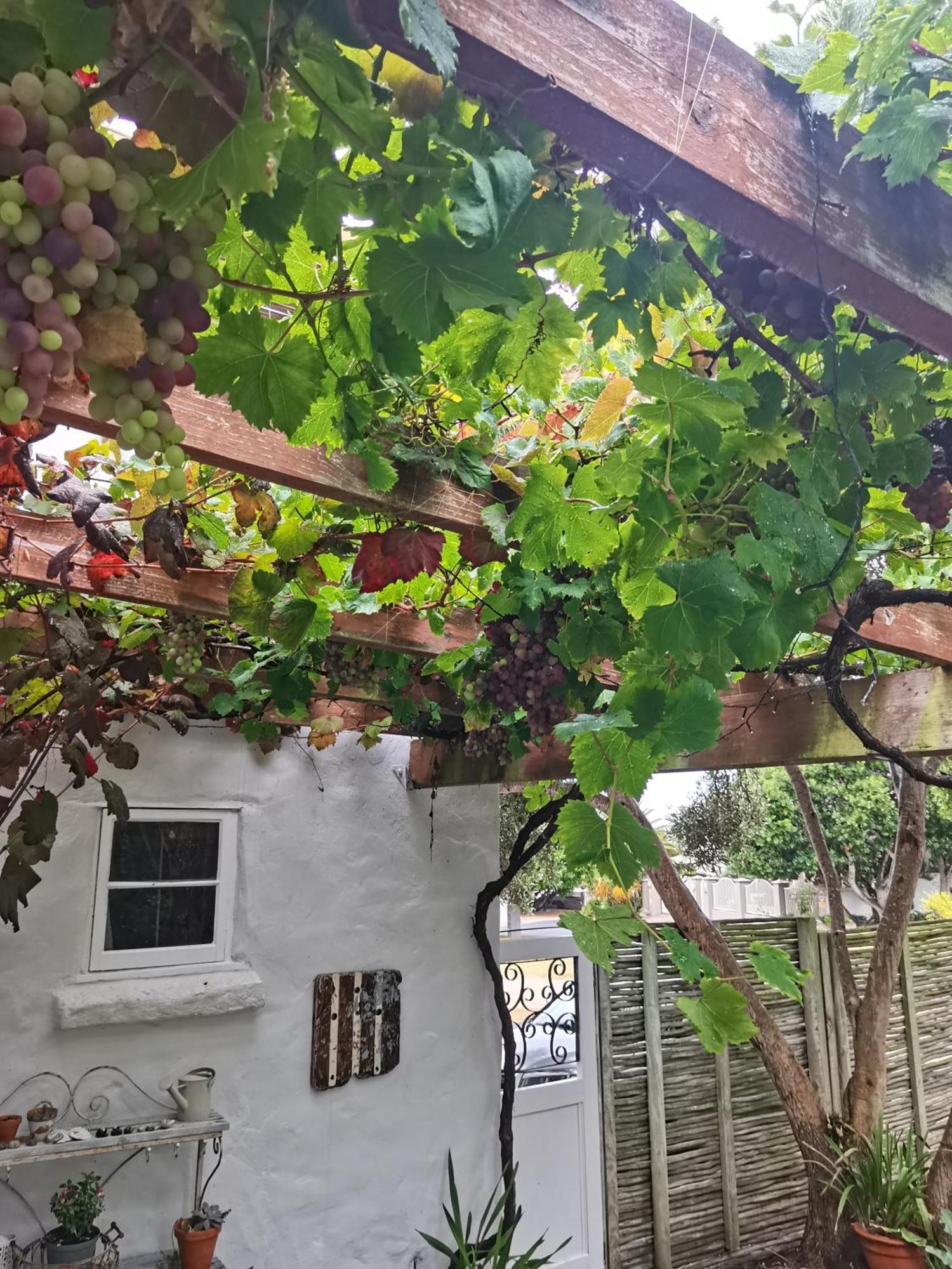 Vermont Lofts Hermanus Bagian luar foto